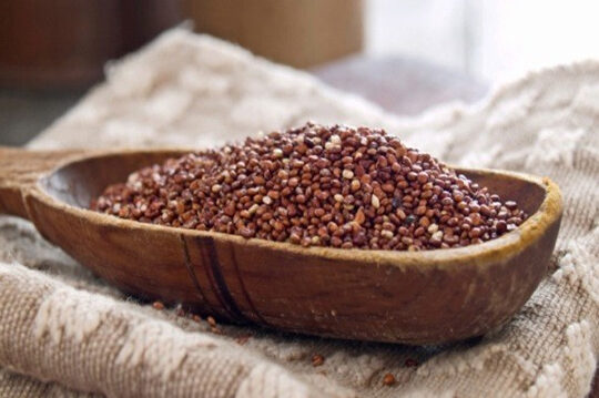 brain food: quinoa